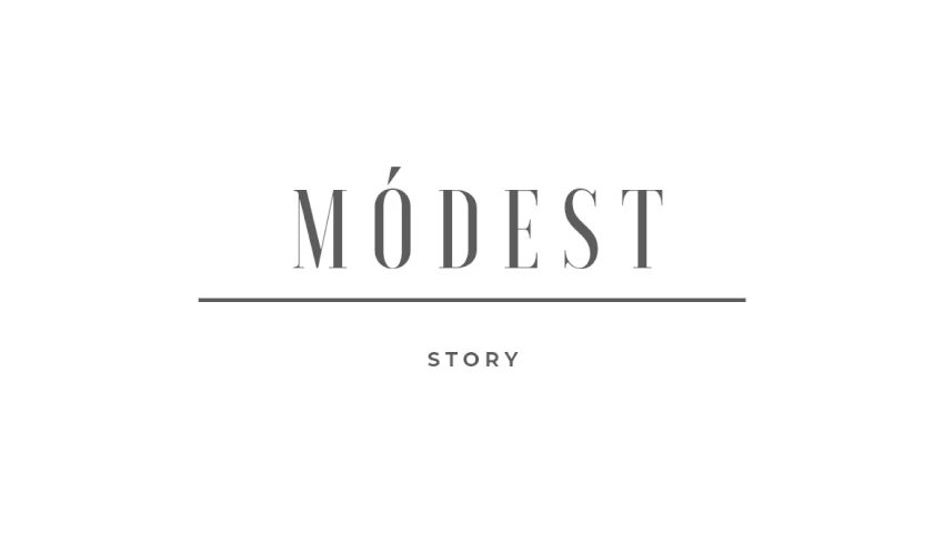 MODEST STORY